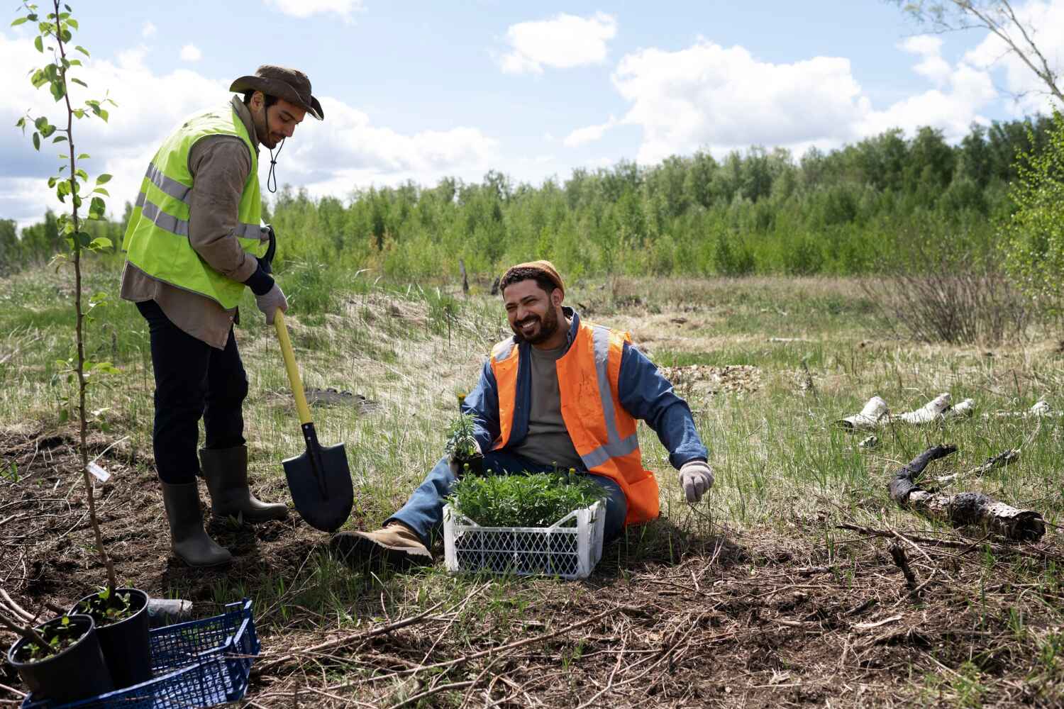 Best Tree Clearing Services  in Boynton Beach, FL